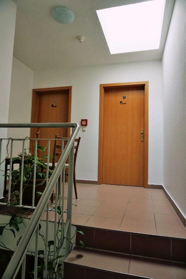 Pension Am Deich Kröslin エクステリア 写真